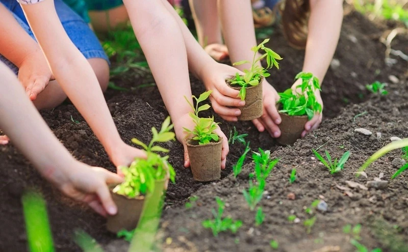 Vì một nền văn minh sinh thái, một Việt Nam xanh và một đại dương hòa bình, bền vững