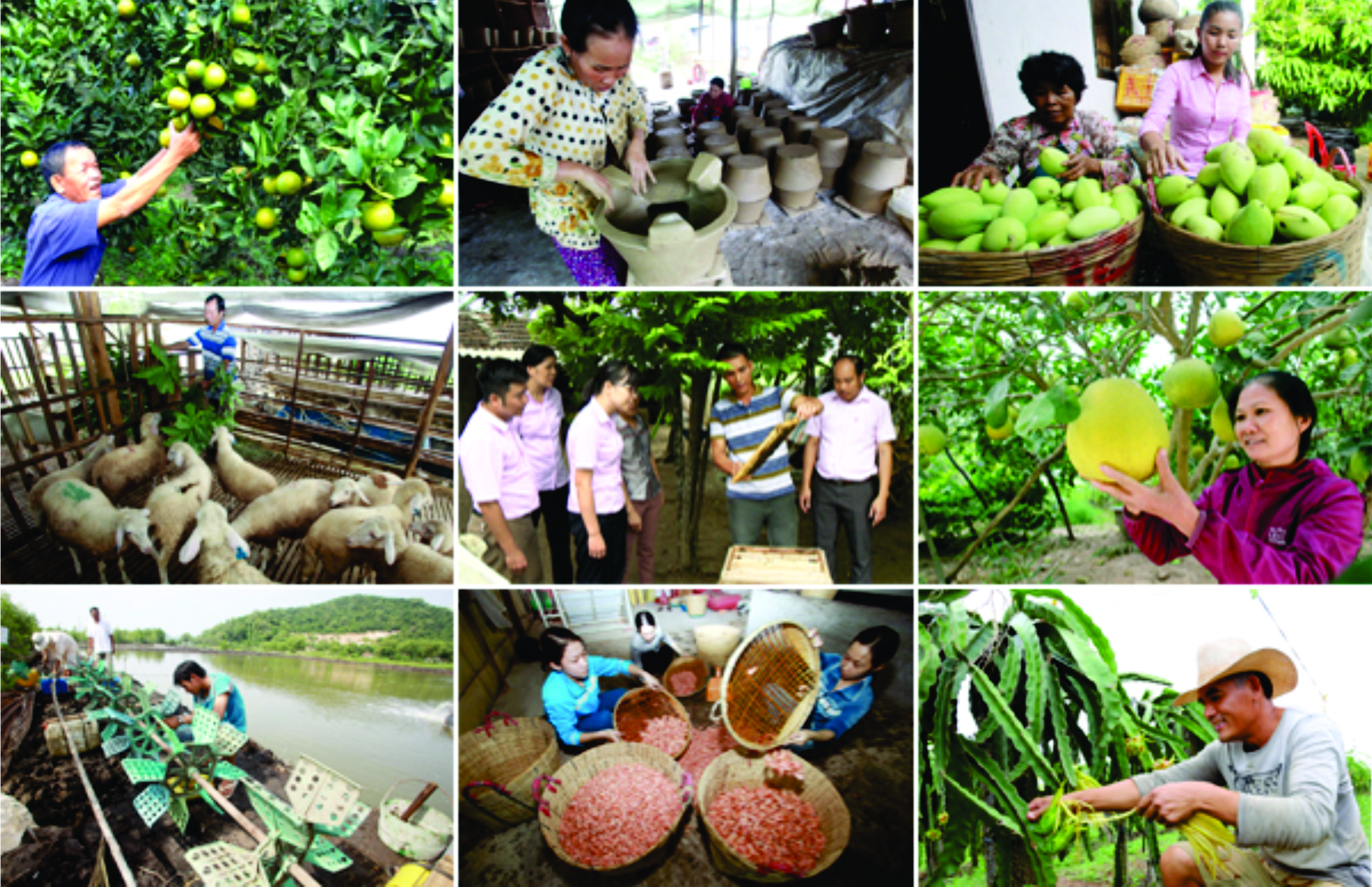 Tín dụng chính sách - Ngọn lửa sáng mãi trong lòng người nghèo