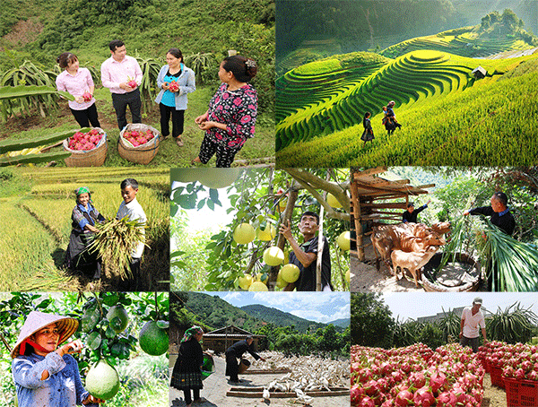 Trên những cung đường phát triển