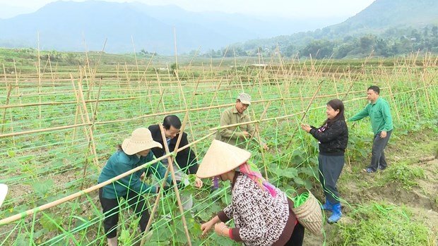 Tỉnh Lai Châu huy động mọi nguồn lực chung tay vì người nghèo